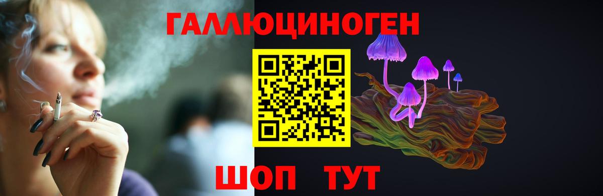Горно-Алтайск  Галлюциногенные грибы GOLDEN TEACHER  закладки  Вход с VPN 